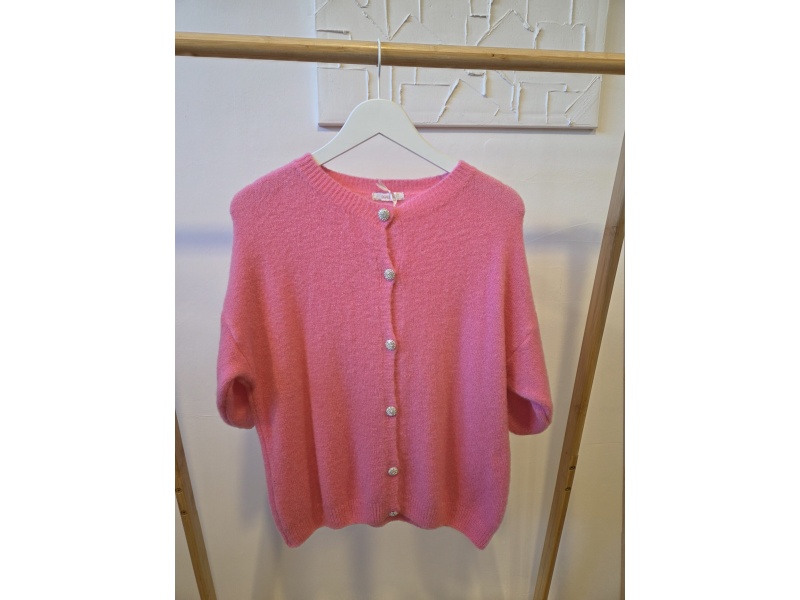 Zacht Pastel Vest met Glitterknopen – Lente Collectie